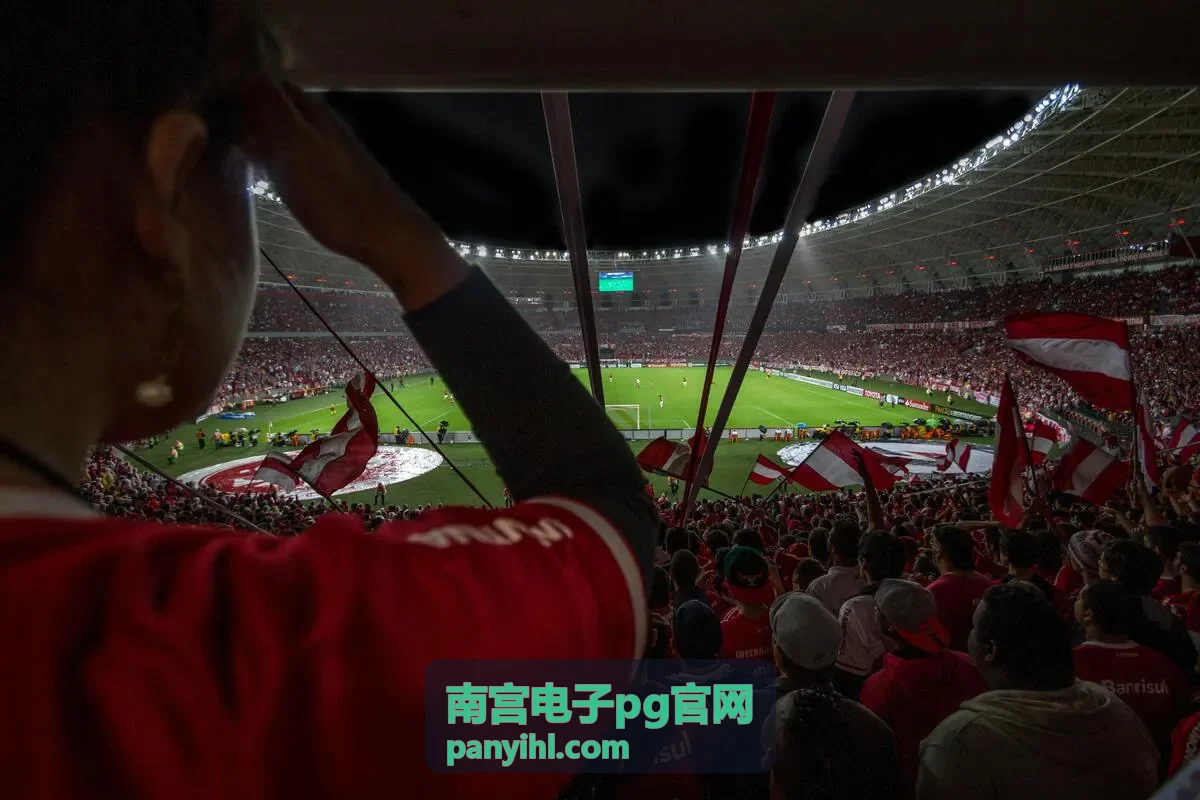 南宫电子pg官网电子游艺大厅闯关进度区存档说明封面
