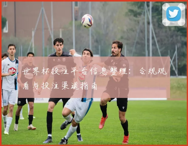 世界杯投注平台信息整理：合规观看与投注渠道指南