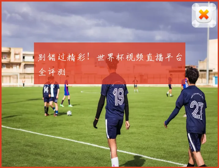 别错过精彩！世界杯视频直播平台全评测