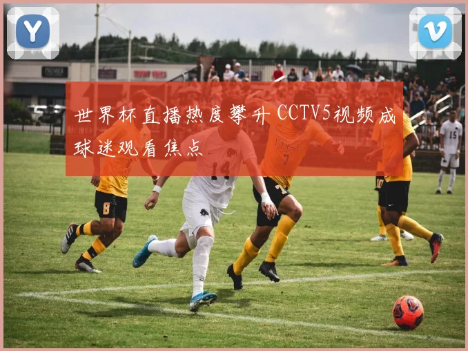 世界杯直播热度攀升 CCTV5视频成球迷观看焦点