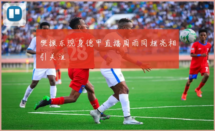 樊振东现身德甲直播周雨同框亮相引关注