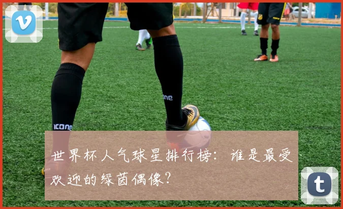 世界杯人气球星排行榜：谁是最受欢迎的绿茵偶像？