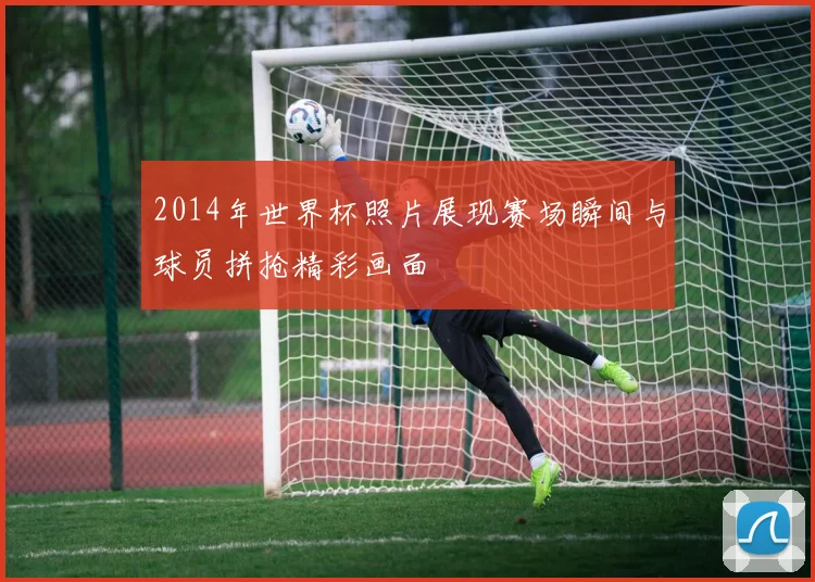 2014年世界杯照片展现赛场瞬间与球员拼抢精彩画面