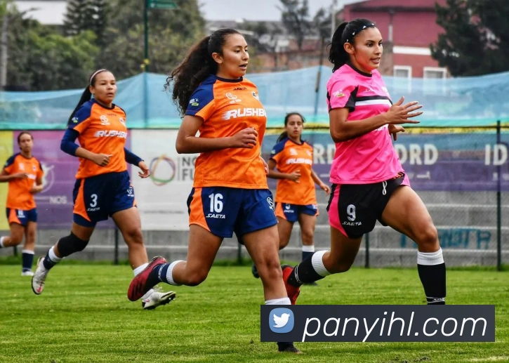 App Interface Preview